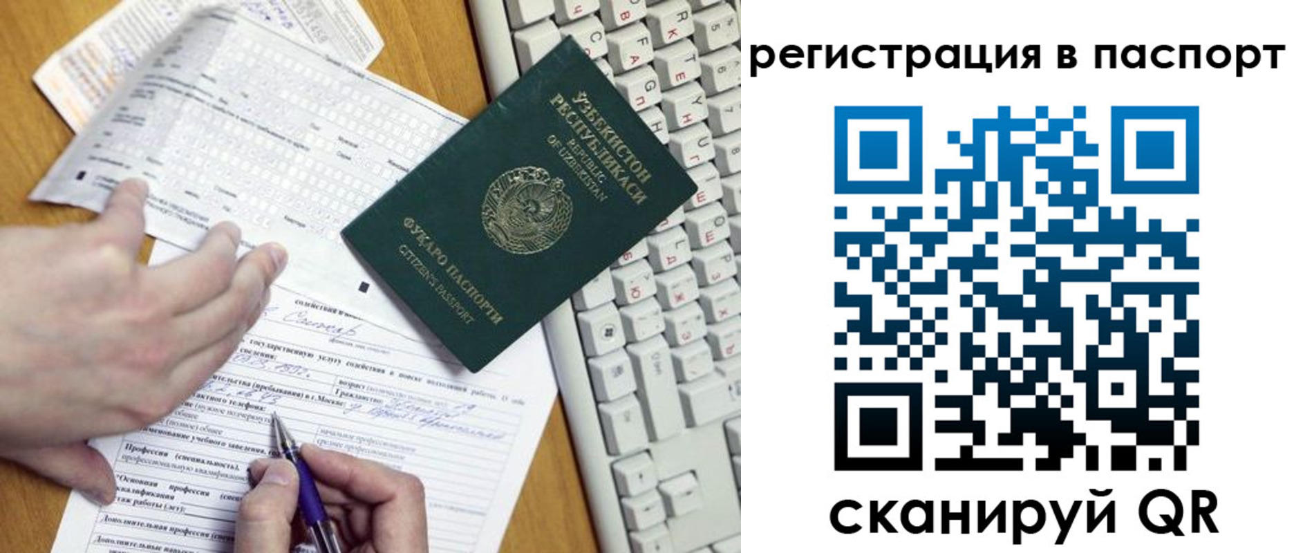 прописка поиск в Черноголовке